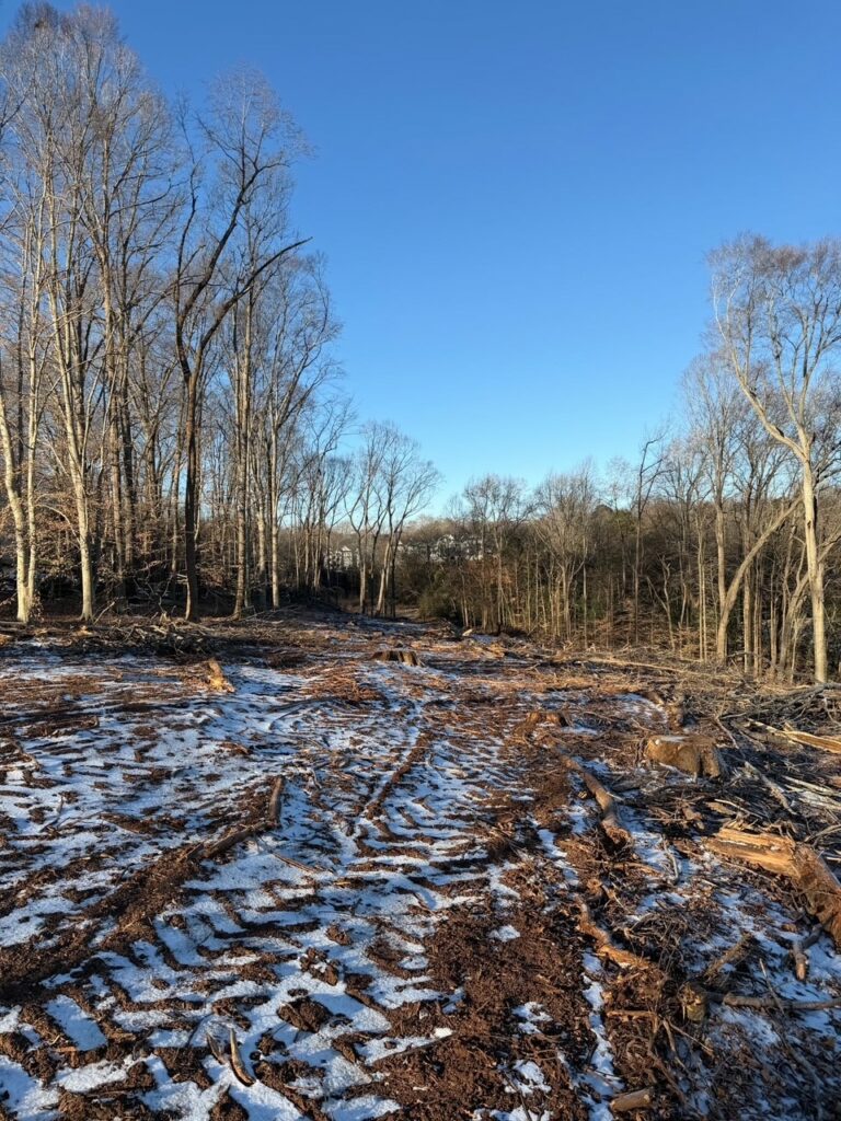 Steele Creek, 3-story townhome design, construction company leadership team, developer testimonial story