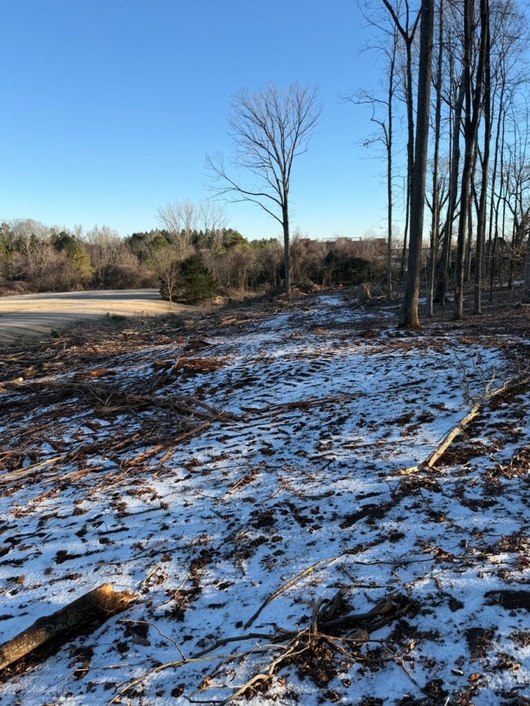 Steele Creek, townhome community construction, residential design team, team building event